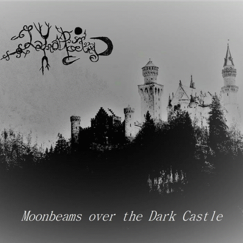 Lunar Poetry : Moonbeams Over the Dark Castle